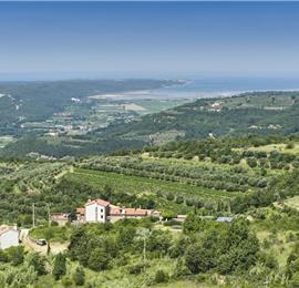 4 Bedroom Luxury Villa Retreat with Heated Infinity Pool near Buje, Sleeps 8-10